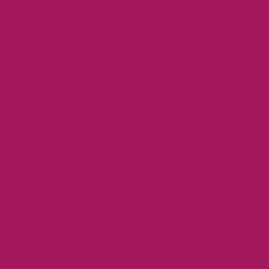 Amsterdam Acrylic akrylfärg 120 ml Permanent Red Violet 567
