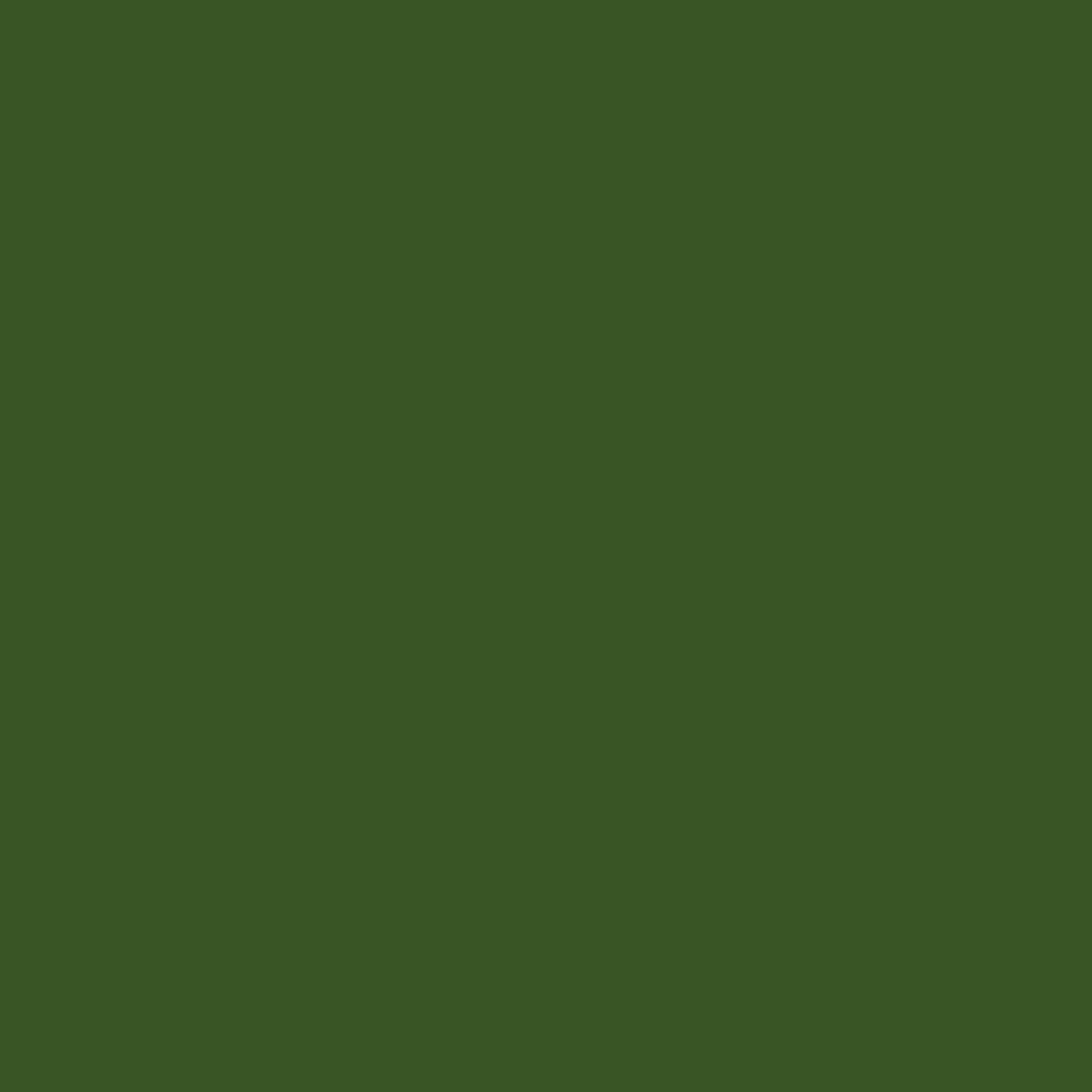 Amsterdam Acrylic akrylfärg 120 ml Sap Green 623