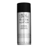 Artists Varnish Gloss spray