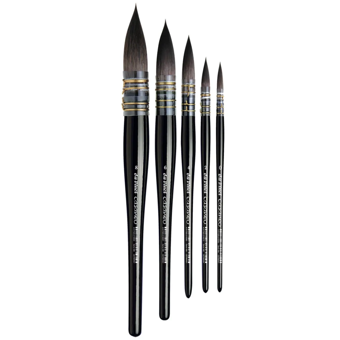 Casaneo 498 Wash Brush smoth.6