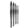 Casaneo 498 Wash Brush smoth.0