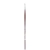 College 8730 Round Brush 2
