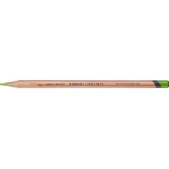 Derwent Lightfast färgpenna – Grass green 70% (2)