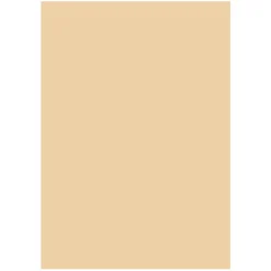 Folia A4 170g Beige 10-pack