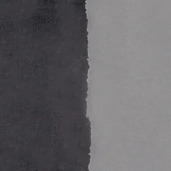 Färgpigment Ivory Black