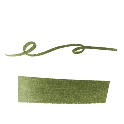 Herbin Fountain Ink 10 ml, bläck för reservoarpennor – mörkgrön / vert empire
