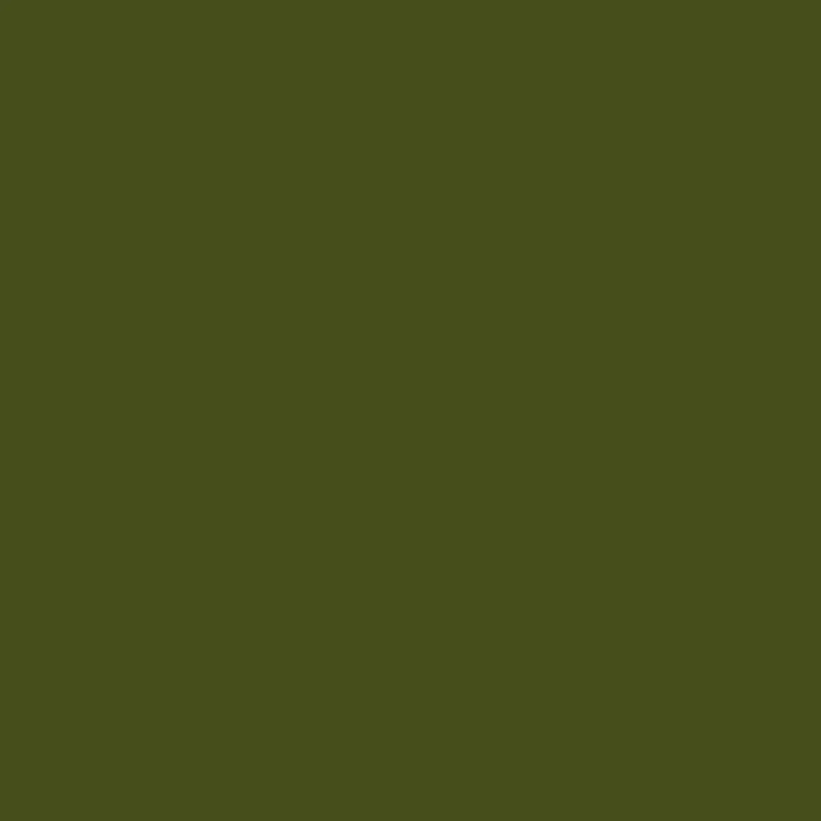 Montana Gold sprayfärg 400 ml - CL 6340 Olive Green