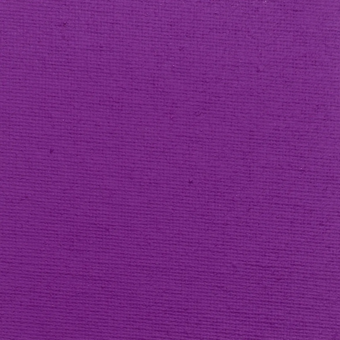 NO LIMIT spray 200ml Plum