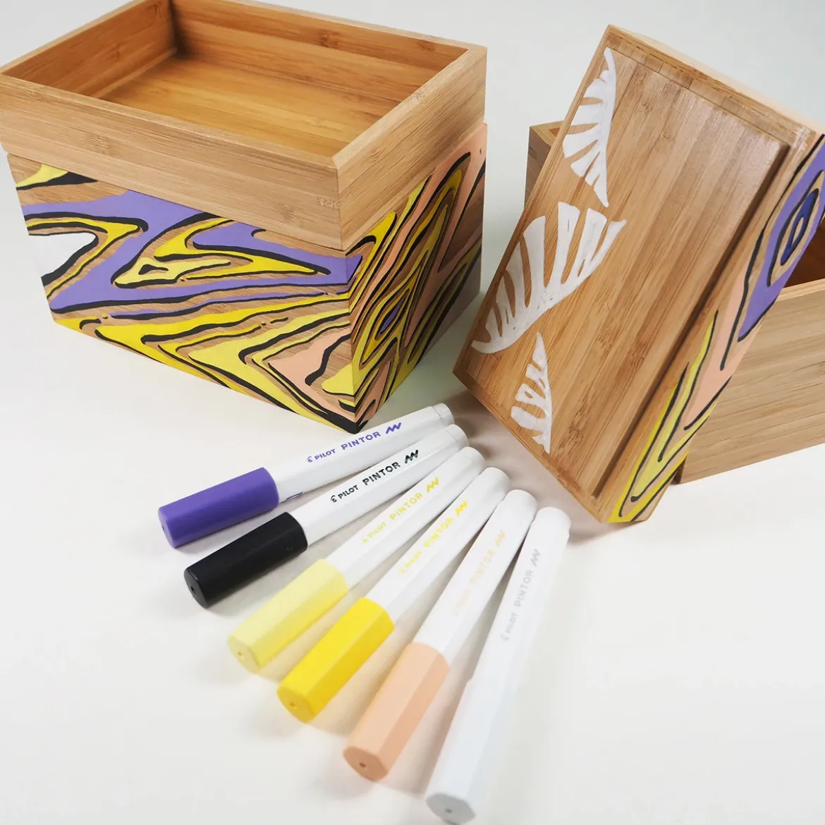 Pilot Pintor M Classic 6-pack