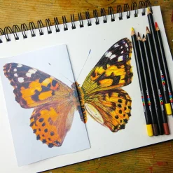 Posca Pencils 36 färger