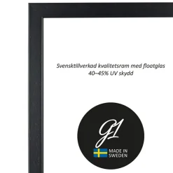 Ram 2E svart 10x15cm