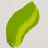 Rembrandt oljefärg 40 ml Permanent Yellow Green - 633