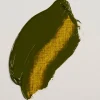 Rembrandt oljefärg 40 ml Transparent Yellow Green - 281