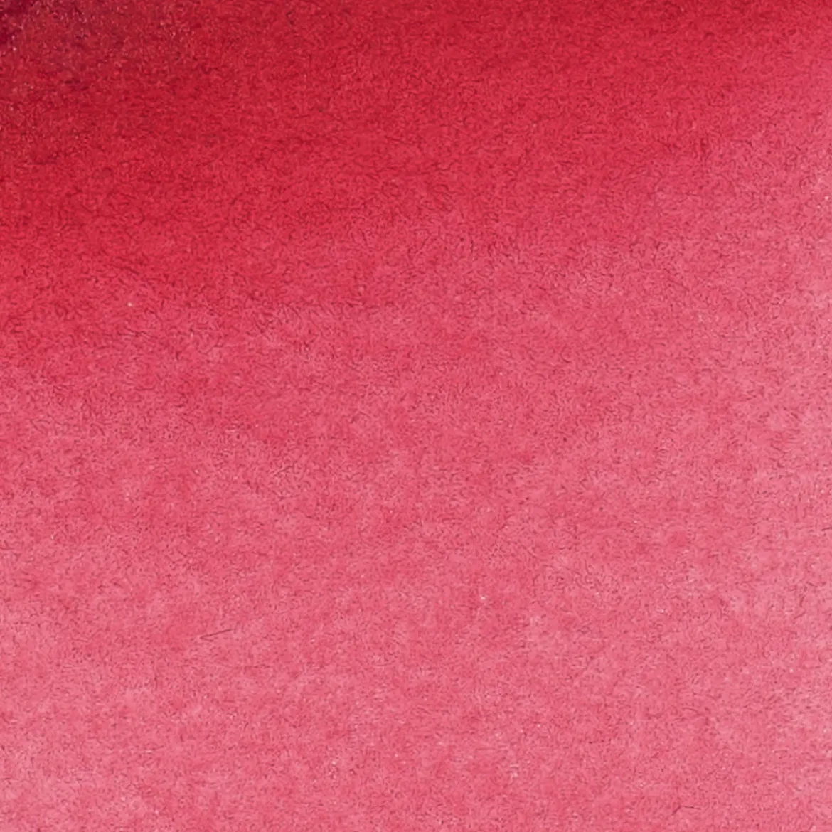 Schmincke Horadam akvarellfärg 5 ml – Bordeaux 362