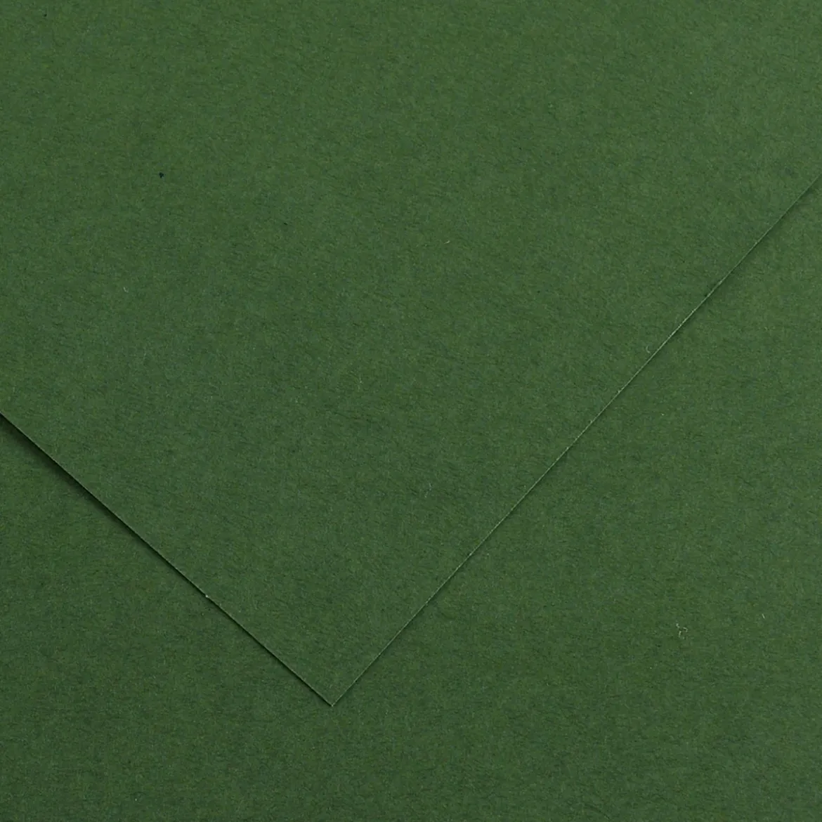 Vivaldi A3 185g Fir tree