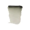 Water col 20ml Davy's grey