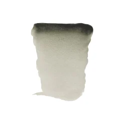 Water col 20ml Davy's grey