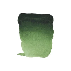 Water col 20ml Hooker green lt