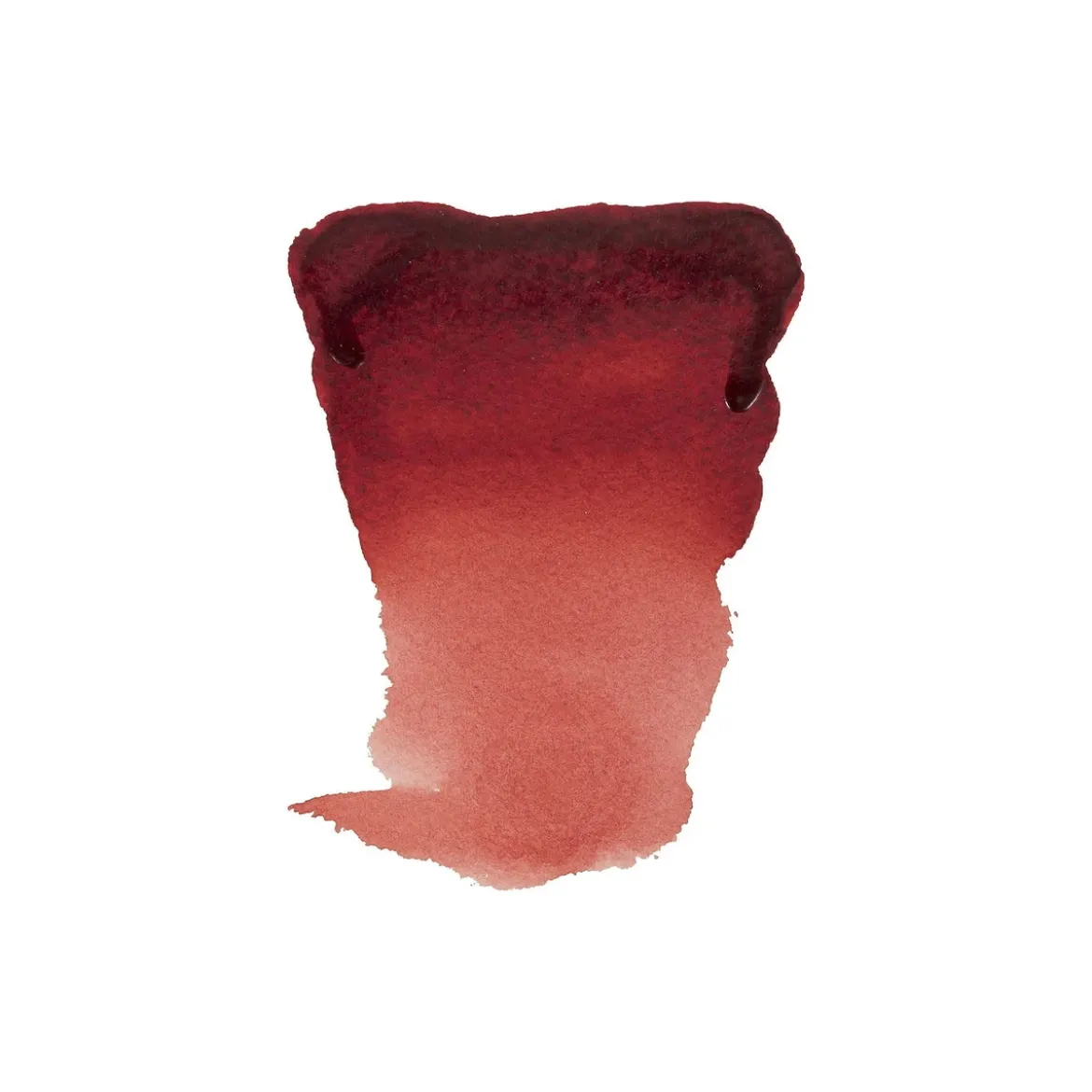 Water col 20ml P madd brownish