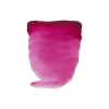 Water col 20ml Quin rose mag