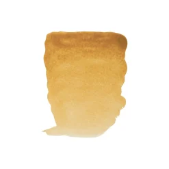 Water col 20ml Raw sienna