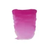 Water col 20ml Rose