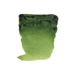 Water col 20ml Sap green