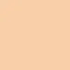 Winsor & Newton Promarker Bisque (Y428)