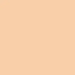 Winsor & Newton Promarker Bisque (Y428)