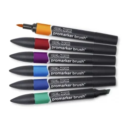W&N Prom. Brush 6xRich T. Set